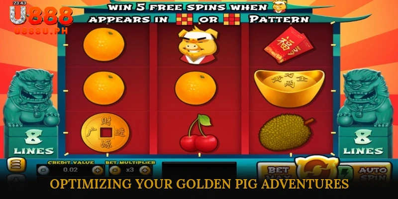Optimizing Your Golden Pig – PH Market Highlights Adventures – PH Market Highlights
